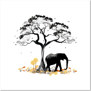 Elephant with african mimosa tree Posters and Art